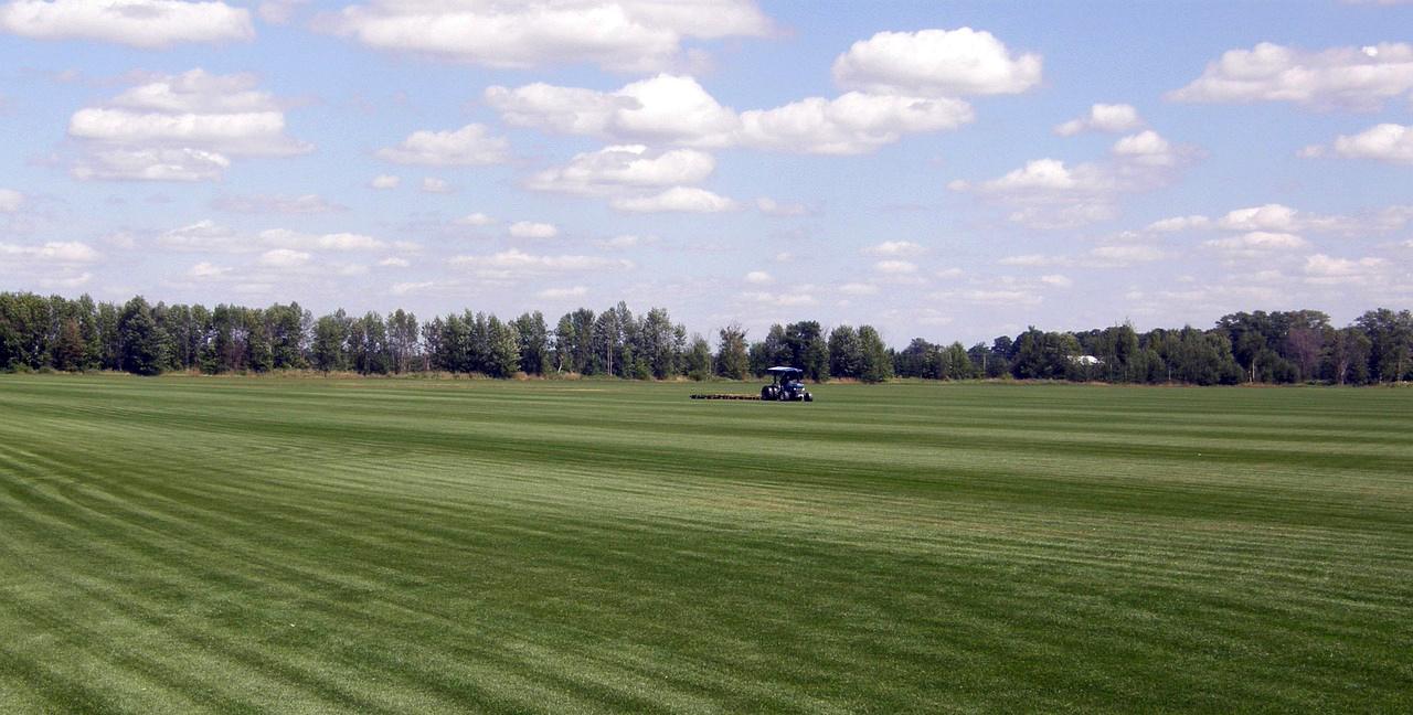  farming-nt-franklin-pixabay2508873